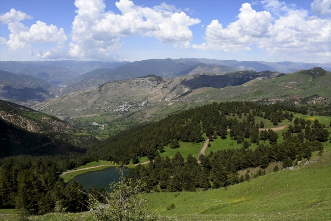 Yeşilin farklı tonlarıyla huzur veren Gümüşhane yaylaları