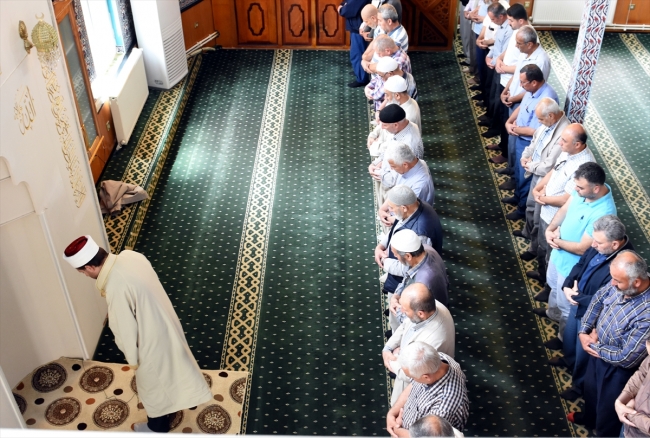 Camide 7 yavru dünyaya getiren kediye imam sahip çıktı