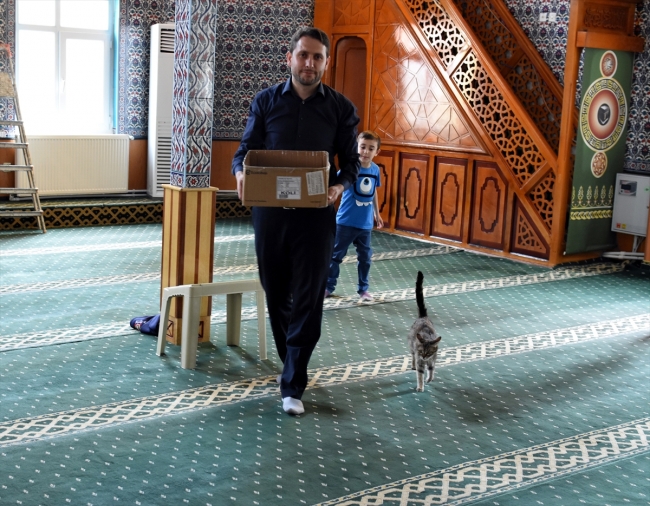 Camide 7 yavru dünyaya getiren kediye imam sahip çıktı