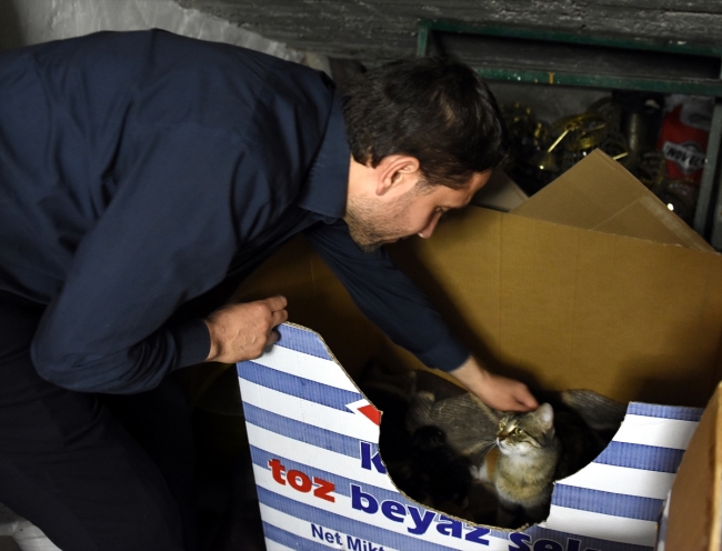 Camide 7 yavru dünyaya getiren kediye imam sahip çıktı