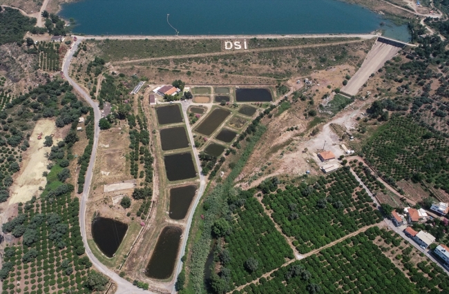 DSİ'den baraj göllerine her yıl milyonlarca balık