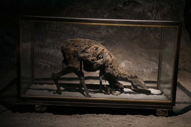 Hititlerden kalan tuz mağarası sağlık turizmine hizmet edecek