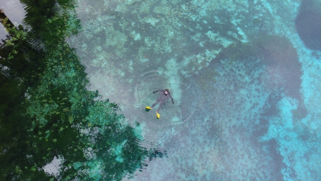 AFAD ekiplerinden 16 yıldır gönüllü dip ve yosun temizliği