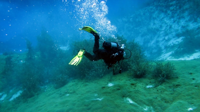 AFAD ekiplerinden 16 yıldır gönüllü dip ve yosun temizliği