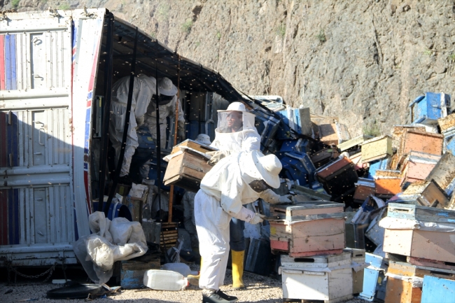 Sivas'ta devrilen kamyondaki arı kovanları karayoluna saçıldı