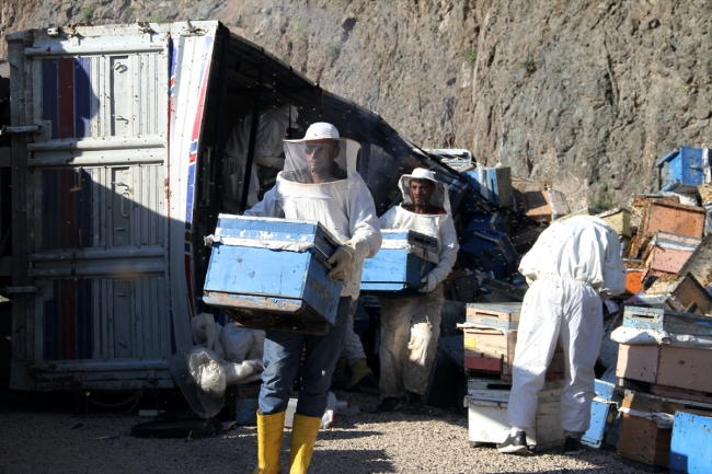 Sivas'ta devrilen kamyondaki arı kovanları karayoluna saçıldı