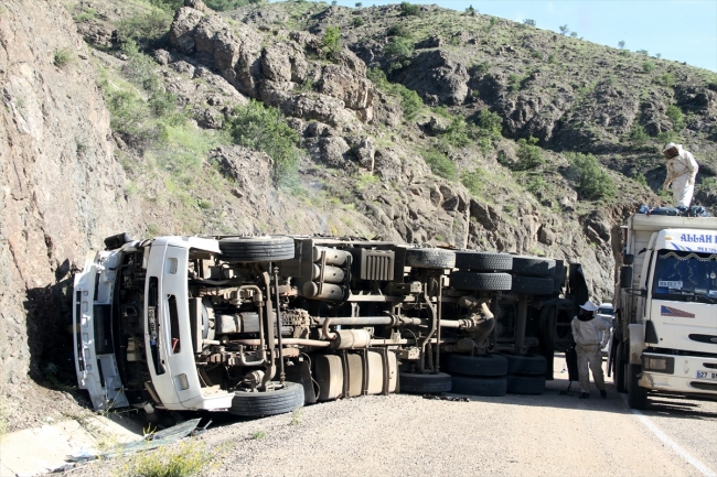 Sivas'ta devrilen kamyondaki arı kovanları karayoluna saçıldı