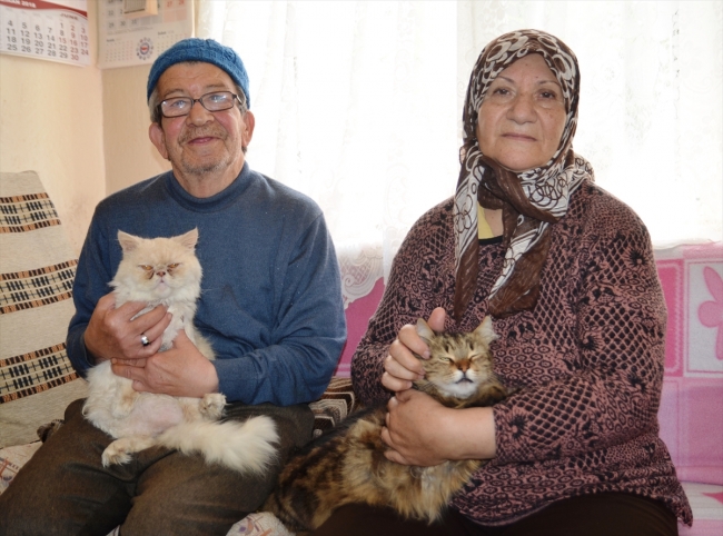 Sokak kedilerine evlerini ve gönüllerini açtılar