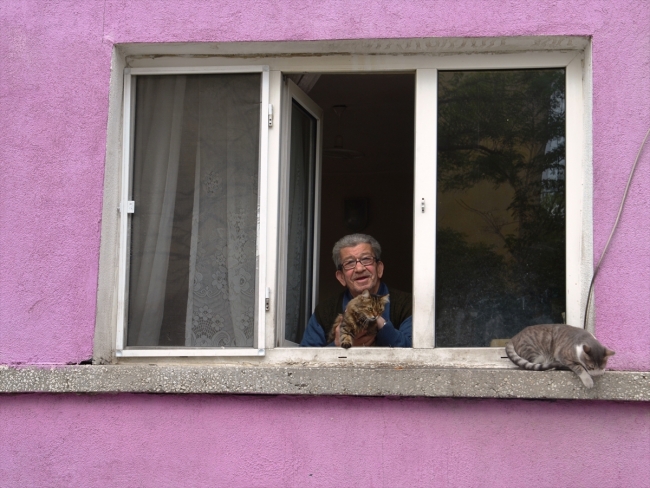 Sokak kedilerine evlerini ve gönüllerini açtılar