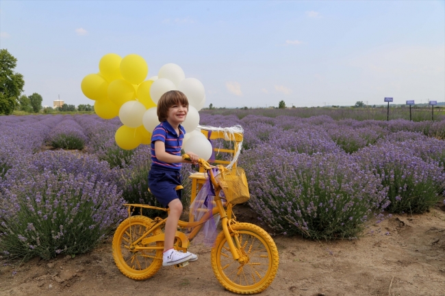 Edirne Lavanta Tarla Günleri'nden renkli görüntüler