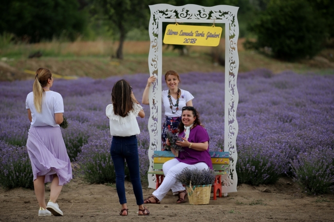 Edirne Lavanta Tarla Günleri'nden renkli görüntüler