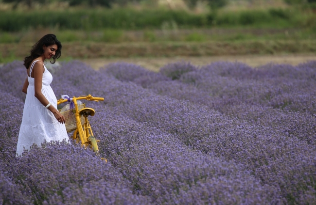 Edirne Lavanta Tarla Günleri'nden renkli görüntüler