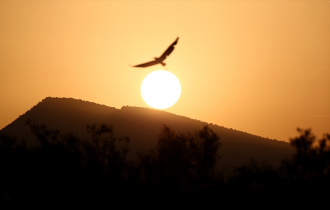 Fotoğraf tutkunları Nallıhan'da buluştu