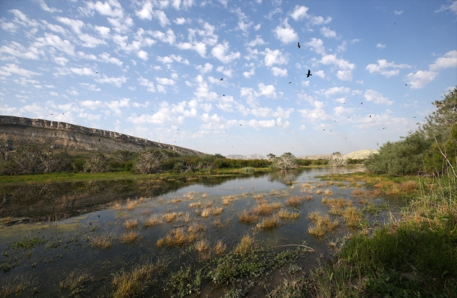 Fotoğraf tutkunları Nallıhan'da buluştu