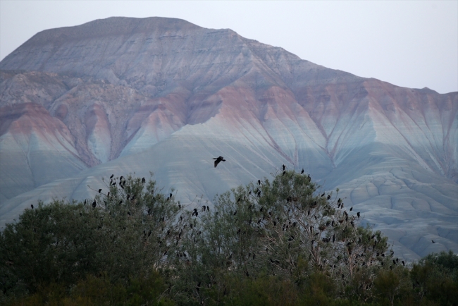 Fotoğraf tutkunları Nallıhan'da buluştu