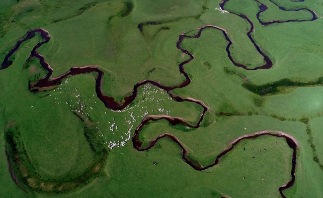 Yeşil doğası ve ilginç menderesleriyle Perşembe Yaylası ziyaretçilerini ağırlıyor