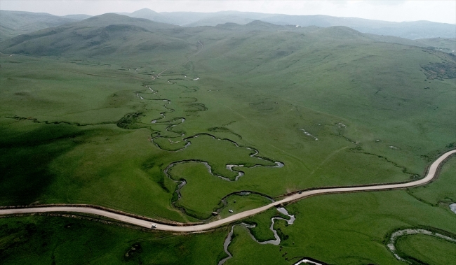 Yeşil doğası ve ilginç menderesleriyle Perşembe Yaylası ziyaretçilerini ağırlıyor