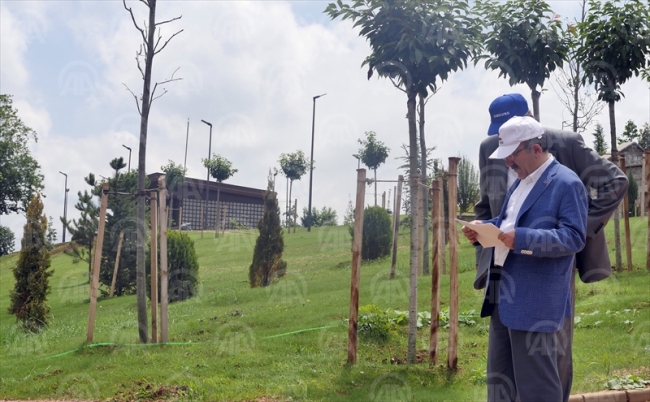 Trabzon'un 103 dönümlük botanik bahçesi tamamlanıyor