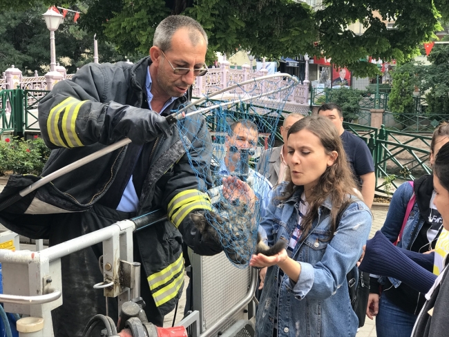 Çatıda mahsur kalan kediyi itfaiye ekipleri kurtardı