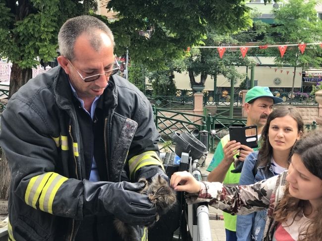 Çatıda mahsur kalan kediyi itfaiye ekipleri kurtardı