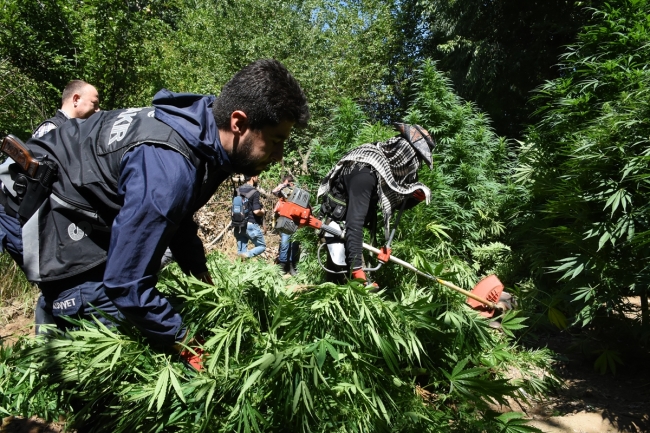 Hevsel Bahçeleri'nde uyuşturucu operasyonu