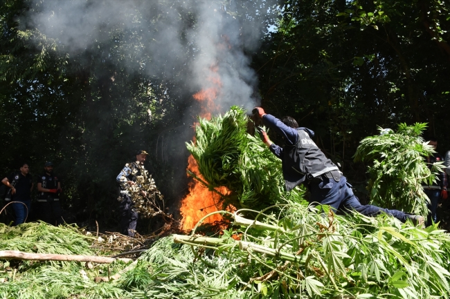Hevsel Bahçeleri'nde uyuşturucu operasyonu