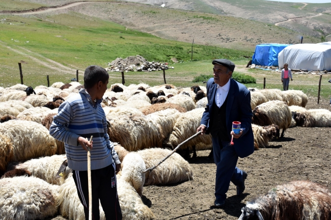 Teröristlerden temizlenen köylerinde huzurlu yaşıyorlar