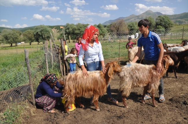 Besiciler terörden arındırılan Şenyayla'nın yolunu tuttu