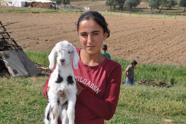 Besiciler terörden arındırılan Şenyayla'nın yolunu tuttu