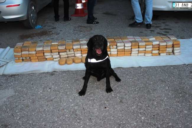 Yakıt deposunda 125 kilogram eroin ele geçirildi