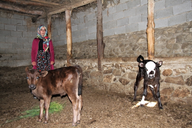 Terörden kaçtıkları köye dönerek genç çiftçi oldular