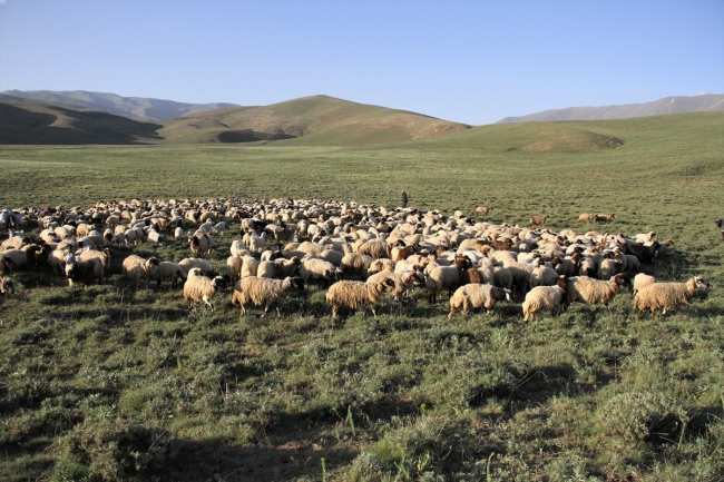 Terörden kaçtıkları köye dönerek genç çiftçi oldular