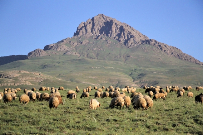 Terörden kaçtıkları köye dönerek genç çiftçi oldular