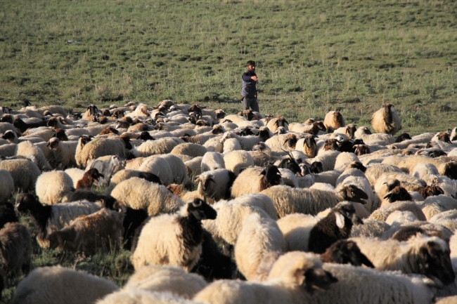Terörden kaçtıkları köye dönerek genç çiftçi oldular