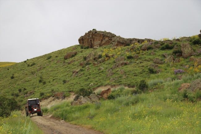 Erzurum'da ayı saldırısına uğrayan kişi hayatını kaybetti