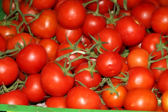 "Soğan ve patateste makul seviyeyi göreceğiz"