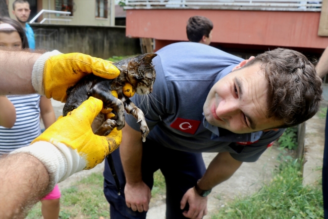 Düzce'de boruya sıkışan yavru kediyi itfaiye kurtardı