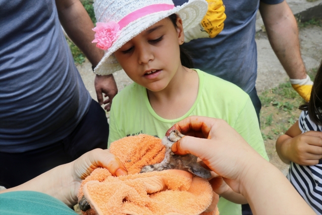Düzce'de boruya sıkışan yavru kediyi itfaiye kurtardı