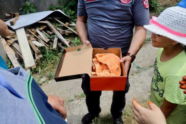 Düzce'de boruya sıkışan yavru kediyi itfaiye kurtardı