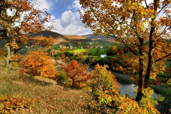 Ordu Argan Yaylası turizme kazandırılıyor
