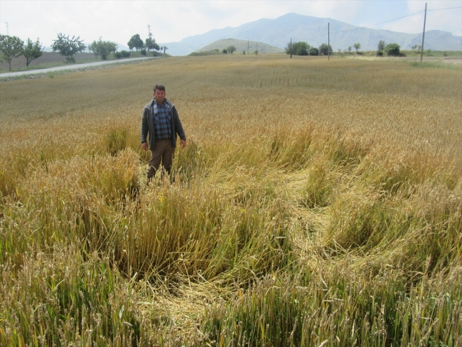 Yağmur ve dolu tarım arazilerini vurdu