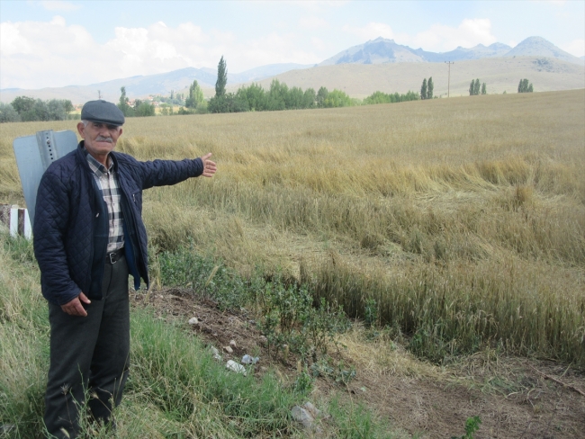 Yağmur ve dolu tarım arazilerini vurdu