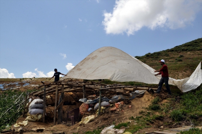 Vatandaşlar terörden arındırılan yaylalara çıkıyor