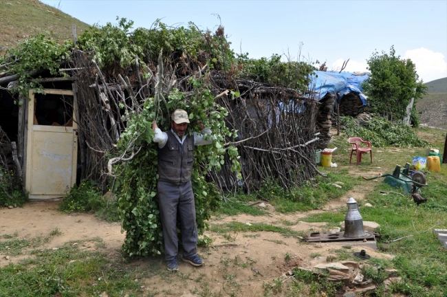 Vatandaşlar terörden arındırılan yaylalara çıkıyor
