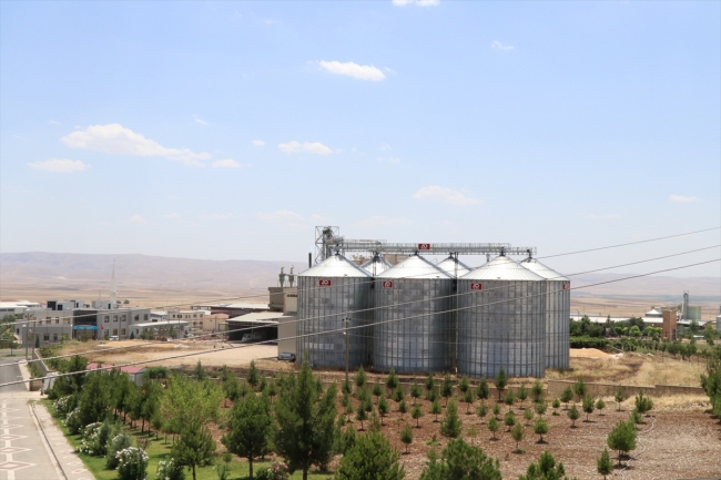 Devlet teşvikleri yatırımcının rotasını Batman'a çevirdi