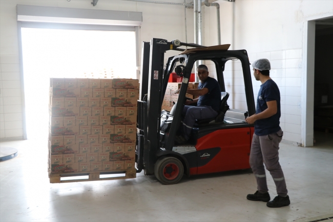 Devlet teşvikleri yatırımcının rotasını Batman'a çevirdi