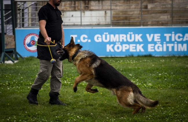 "Süper burunlar" kaçakçılara geçit vermedi