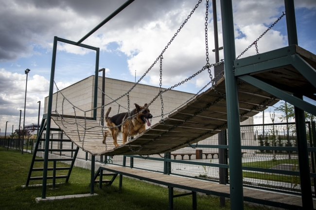 "Süper burunlar" kaçakçılara geçit vermedi