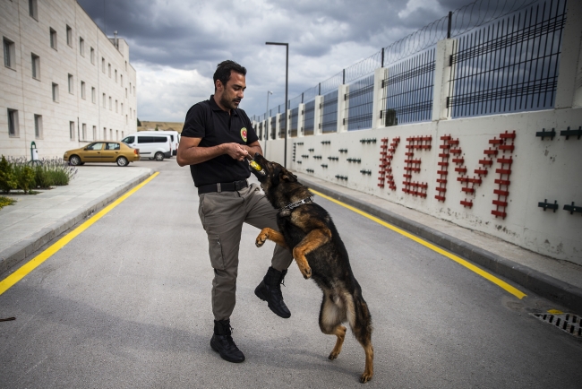 "Süper burunlar" kaçakçılara geçit vermedi