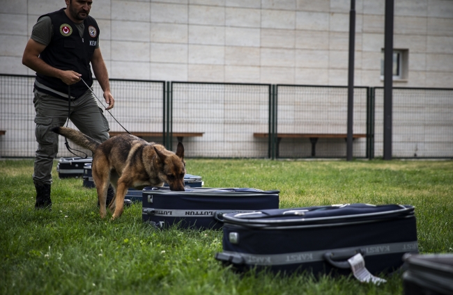 "Süper burunlar" kaçakçılara geçit vermedi